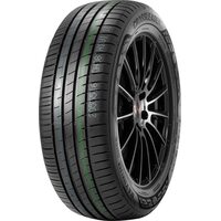 DoubleStar 205/55R16 91V DH08