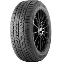 DoubleStar 225/45R18 95T Winterking DW09